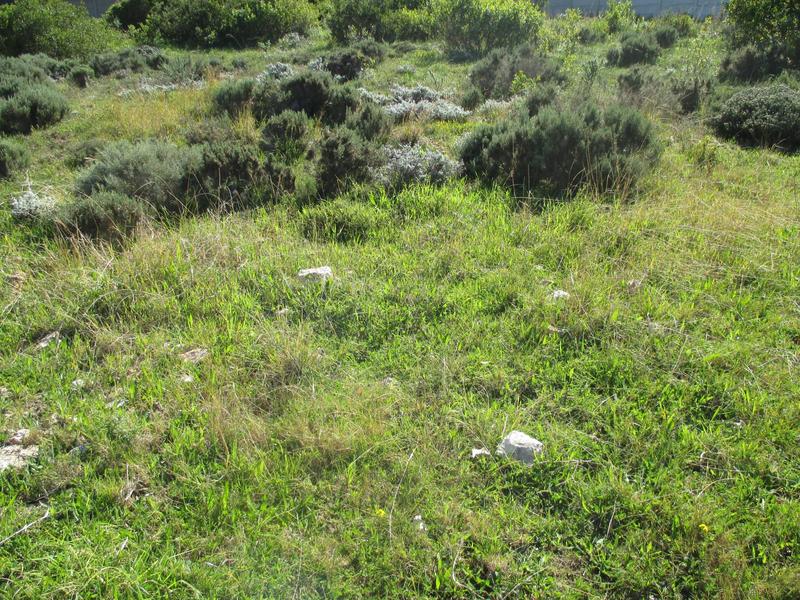0 Bedroom Property for Sale in Dana Bay Western Cape
